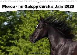 Pferde - im Galopp durch's Jahr 2020 (Wandkalender 2020 DIN A4 quer)