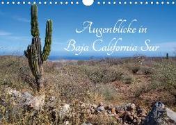 Augenblicke in Baja California Sur (Wandkalender 2020 DIN A4 quer)