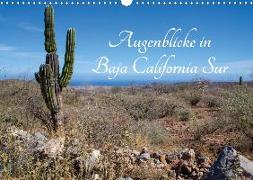 Augenblicke in Baja California Sur (Wandkalender 2020 DIN A3 quer)