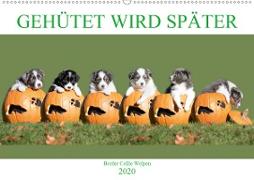 Gehütet wird später - Border Collie Welpen (Wandkalender 2020 DIN A2 quer)