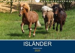 Isländer - icelandic horses (Wandkalender 2020 DIN A4 quer)