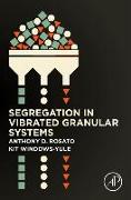 Segregation in Vibrated Granular Systems