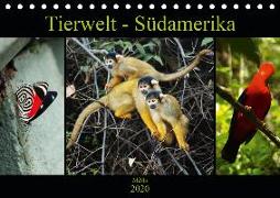 Tierwelt - Südamerika (Tischkalender 2020 DIN A5 quer)
