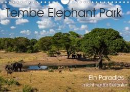 Tembe Elephant Park. Ein Paradies - nicht nur für Elefanten (Wandkalender 2020 DIN A4 quer)