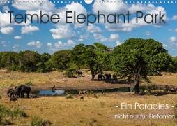 Tembe Elephant Park. Ein Paradies - nicht nur für Elefanten (Wandkalender 2020 DIN A3 quer)
