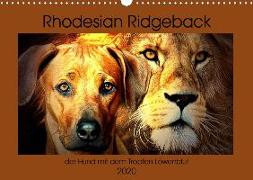 Rhodesian Ridgeback - der Hund mit dem Tropfen Löwenblut (Wandkalender 2020 DIN A3 quer)