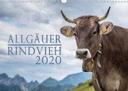 Allgäuer Rindvieh 2020 (Wandkalender 2020 DIN A3 quer)