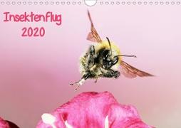 Insektenflug 2020 (Wandkalender 2020 DIN A4 quer)