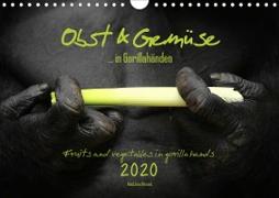 OBST & GEMÜSE in Gorillahänden (Wandkalender 2020 DIN A4 quer)