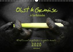 OBST & GEMÜSE in Gorillahänden (Wandkalender 2020 DIN A3 quer)
