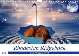 Rhodesian Ridgeback - kreativ in Szene gesetzt - (Wandkalender 2020 DIN A4 quer)