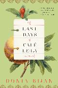 The Last Days of Café Leila