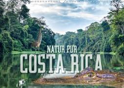 Natur pur, Costa Rica (Wandkalender 2020 DIN A3 quer)