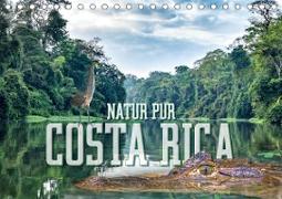 Natur pur, Costa Rica (Tischkalender 2020 DIN A5 quer)