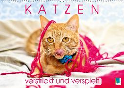 Edition lustige Tiere: Katzen - verstrickt und verspielt (Wandkalender 2020 DIN A2 quer)