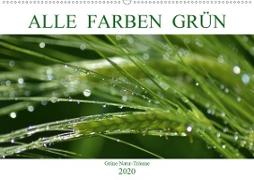 Alle Farben Grün (Wandkalender 2020 DIN A2 quer)