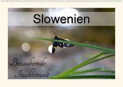 Slowenien - bezaubernde Insektenwelt (Wandkalender 2020 DIN A2 quer)