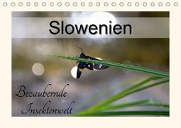 Slowenien - bezaubernde Insektenwelt (Tischkalender 2020 DIN A5 quer)