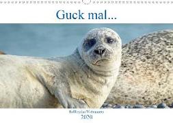 Guck mal ... Robben im Wattenmeer (Wandkalender 2020 DIN A3 quer)