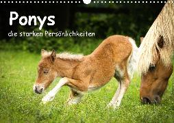 Ponys, die starken Persönlichkeiten (Wandkalender 2020 DIN A3 quer)