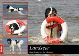 Landseer - Das Wasser ist ihr Element (Wandkalender 2020 DIN A2 quer)