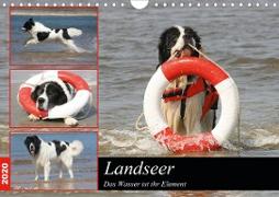 Landseer - Das Wasser ist ihr Element (Wandkalender 2020 DIN A4 quer)