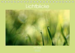 Lichtblicke im Gras (Tischkalender 2020 DIN A5 quer)