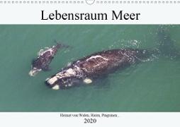 Lebensraum Meer - Heimat von Walen, Haien, Pinguinen... (Wandkalender 2020 DIN A3 quer)