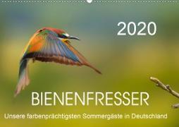 Bienenfresser, unsere farbenprächtigsten Sommergäste in Deutschland (Wandkalender 2020 DIN A2 quer)