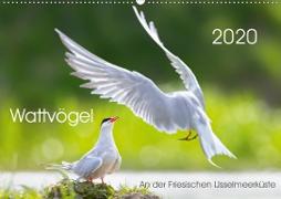 Wattvögel an der Friesischen IJsselmeerküste (Wandkalender 2020 DIN A2 quer)