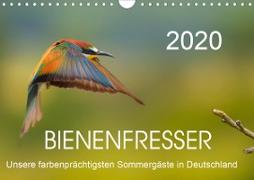 Bienenfresser, unsere farbenprächtigsten Sommergäste in Deutschland (Wandkalender 2020 DIN A4 quer)
