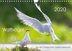 Wattvögel an der Friesischen IJsselmeerküste (Wandkalender 2020 DIN A4 quer)