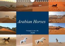 Arabian Horses (Wall Calendar 2020 DIN A4 Landscape)