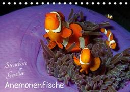 Anemonenfische - Streitbare Gesellen (Tischkalender 2020 DIN A5 quer)