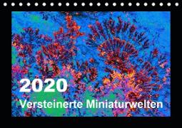 Versteinerte Miniaturwelten - Farbenspiele auf Solnhofener Plattenkalk (Tischkalender 2020 DIN A5 quer)