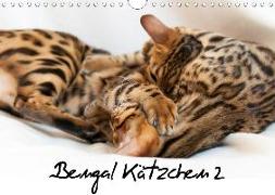 Bengal Kätzchen 2 (Wandkalender 2020 DIN A4 quer)