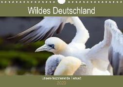 Wildes Deutschland - Unsere faszinierende Tierwelt (Wandkalender 2020 DIN A4 quer)