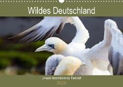 Wildes Deutschland - Unsere faszinierende Tierwelt (Wandkalender 2020 DIN A3 quer)