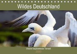 Wildes Deutschland - Unsere faszinierende Tierwelt (Tischkalender 2020 DIN A5 quer)