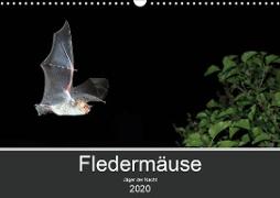 Fledermäuse - Jäger der Nacht (Wandkalender 2020 DIN A3 quer)