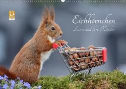 Eichhörnchen Luna und ihre Kinder (Wandkalender 2020 DIN A2 quer)