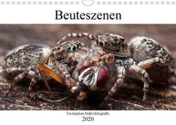 Faszination Makrofotografie: Beuteszenen (Wandkalender 2020 DIN A4 quer)