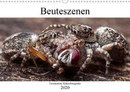 Faszination Makrofotografie: Beuteszenen (Wandkalender 2020 DIN A3 quer)