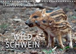 Unverwechselbar - Wildschwein (Wandkalender 2020 DIN A4 quer)