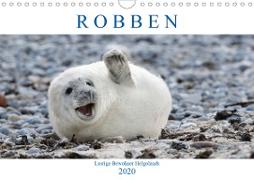 Robben - Lustige Bewohner Helgolands (Wandkalender 2020 DIN A4 quer)