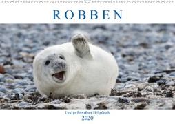 Robben - Lustige Bewohner Helgolands (Wandkalender 2020 DIN A2 quer)