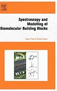 Spectroscopy and Modeling of Biomolecular Building Blocks