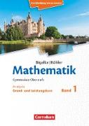 Bigalke/Köhler: Mathematik, Mecklenburg-Vorpommern - Ausgabe 2019, Band 1 - Grund- und Leistungskurs, Analysis, Schülerbuch