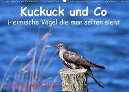 Kuckuck und Co - Heimische Vögel die man selten sieht - Jahresplaner 2020 (Wandkalender 2020 DIN A2 quer)