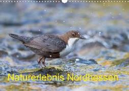 Naturerlebnis Nordhessen (Wandkalender 2020 DIN A3 quer)
